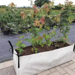 Donice szkółkarskie 100x30x30 szaro bezowe PE