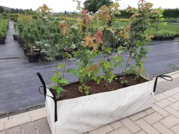 Donice szkółkarskie 100x30x30 szaro bezowe PE