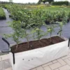 Donice szkółkarskie 100x30x30 szaro bezowe PE - obrazek 3