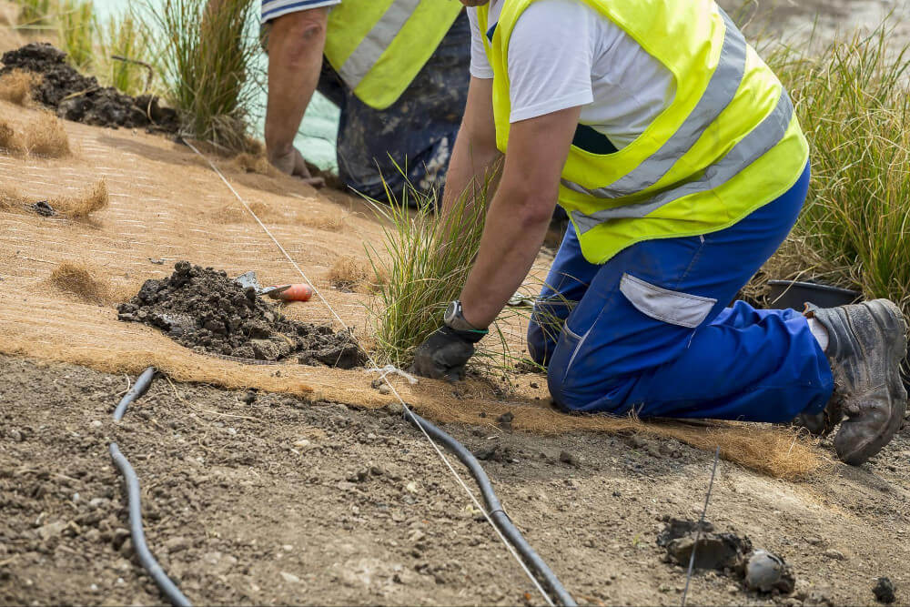 pracownicy sadzący trawę na matach kokosowych