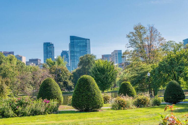 zieleń miejska w parku